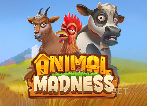 Animal Madness