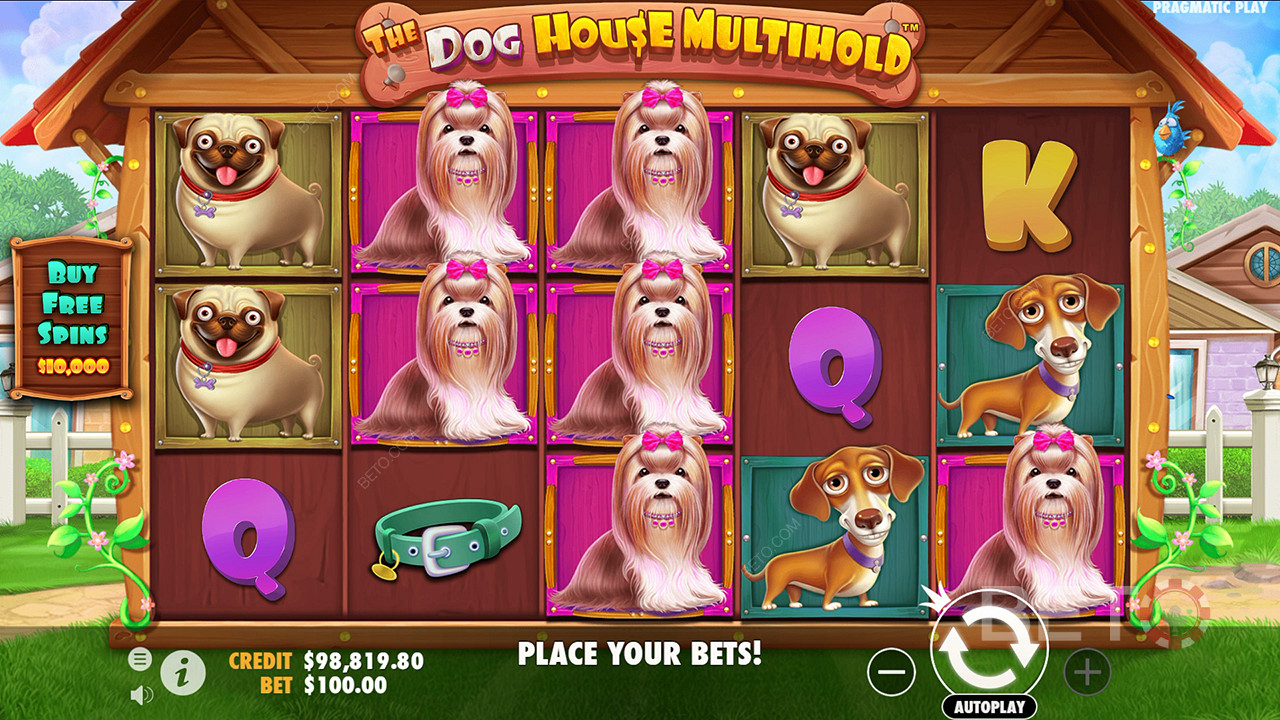 Verdikt pre The Dog House Multihold Video Slot