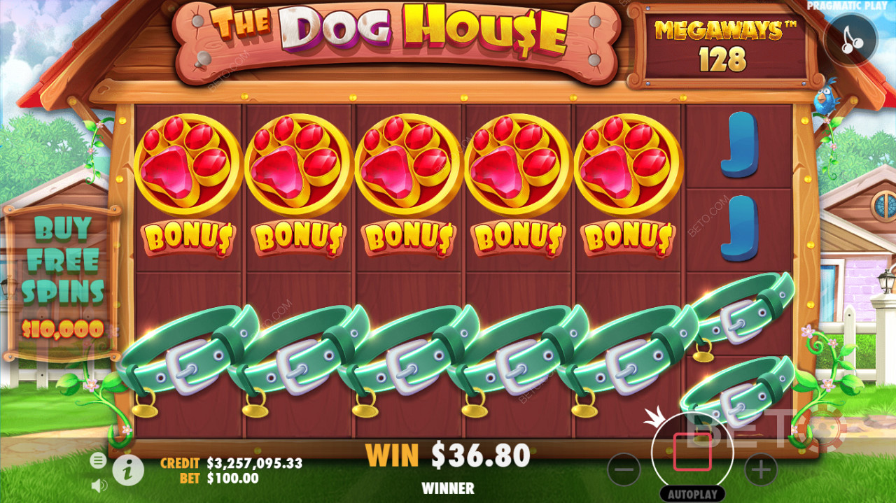 Podrobné herné rozhranie kasín The Dog House Megaways sloty