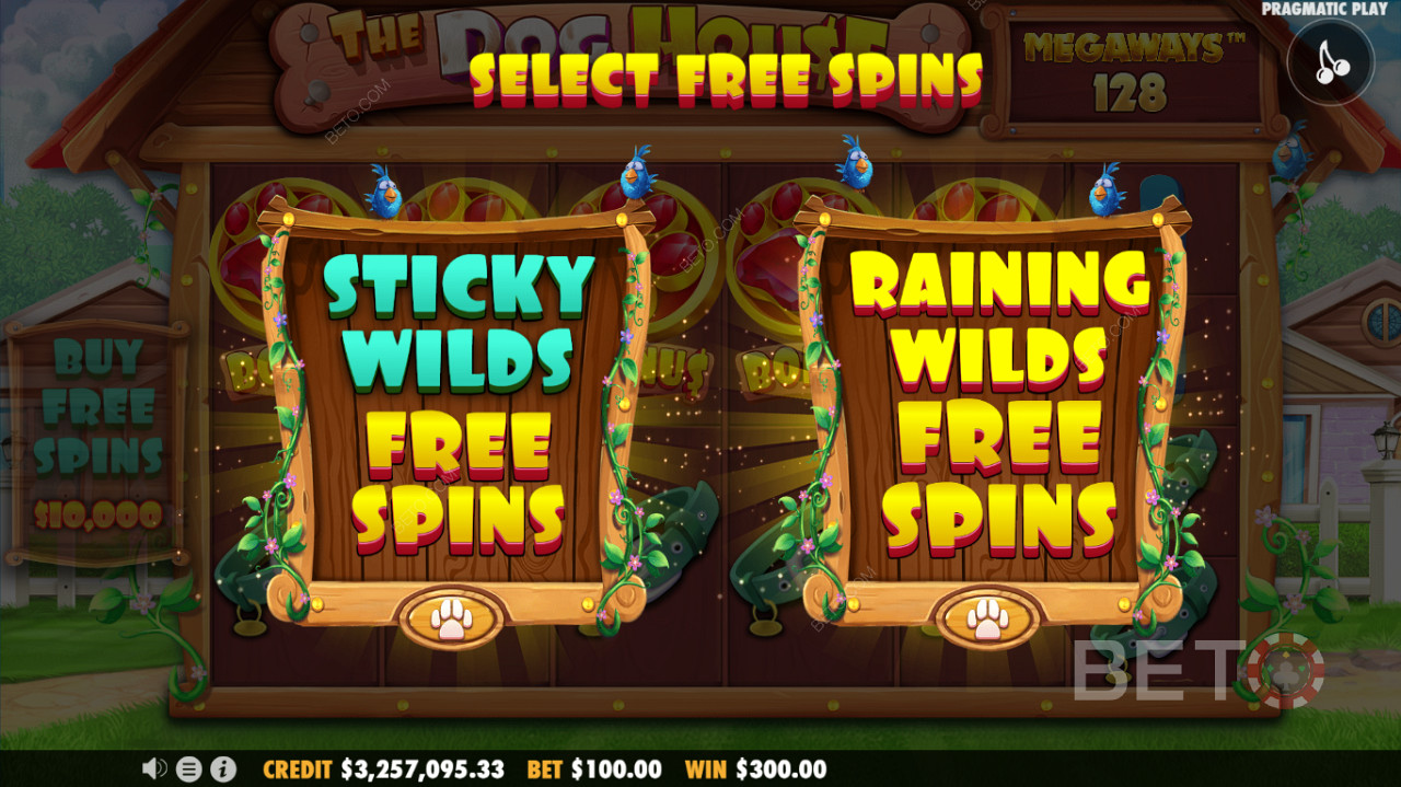 K dispozícii sú dva režimy Free Spins - Sticky Wilds Free Spins alebo Raining Wilds Free Spins