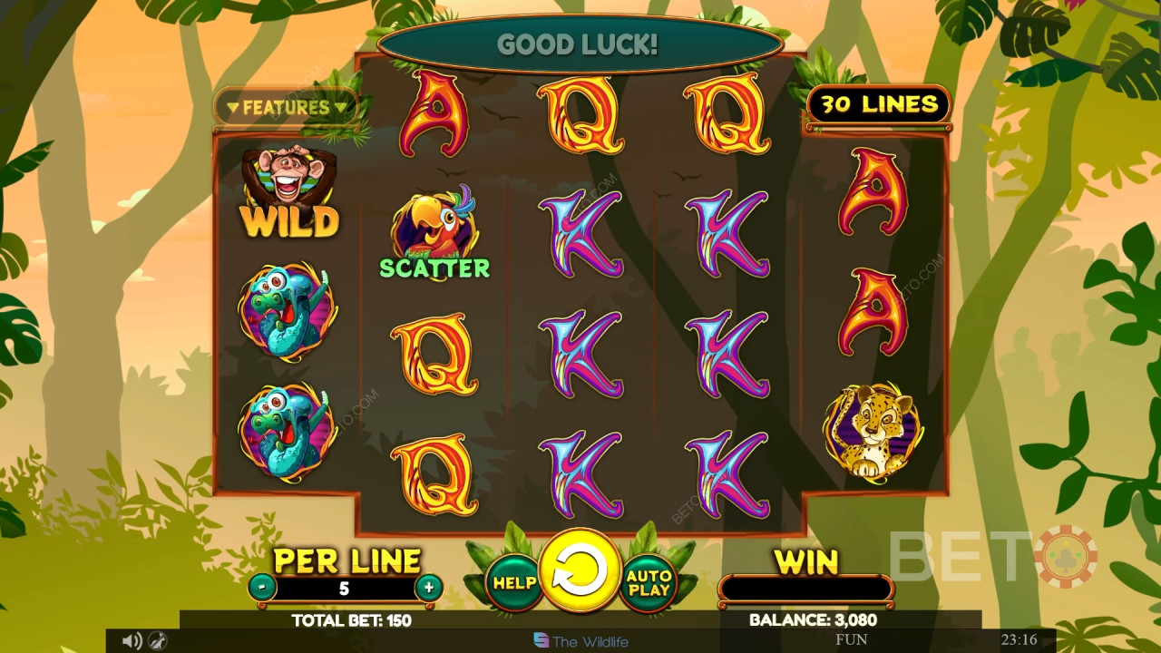 Wacky Monkey Recenzia od BETO Slots