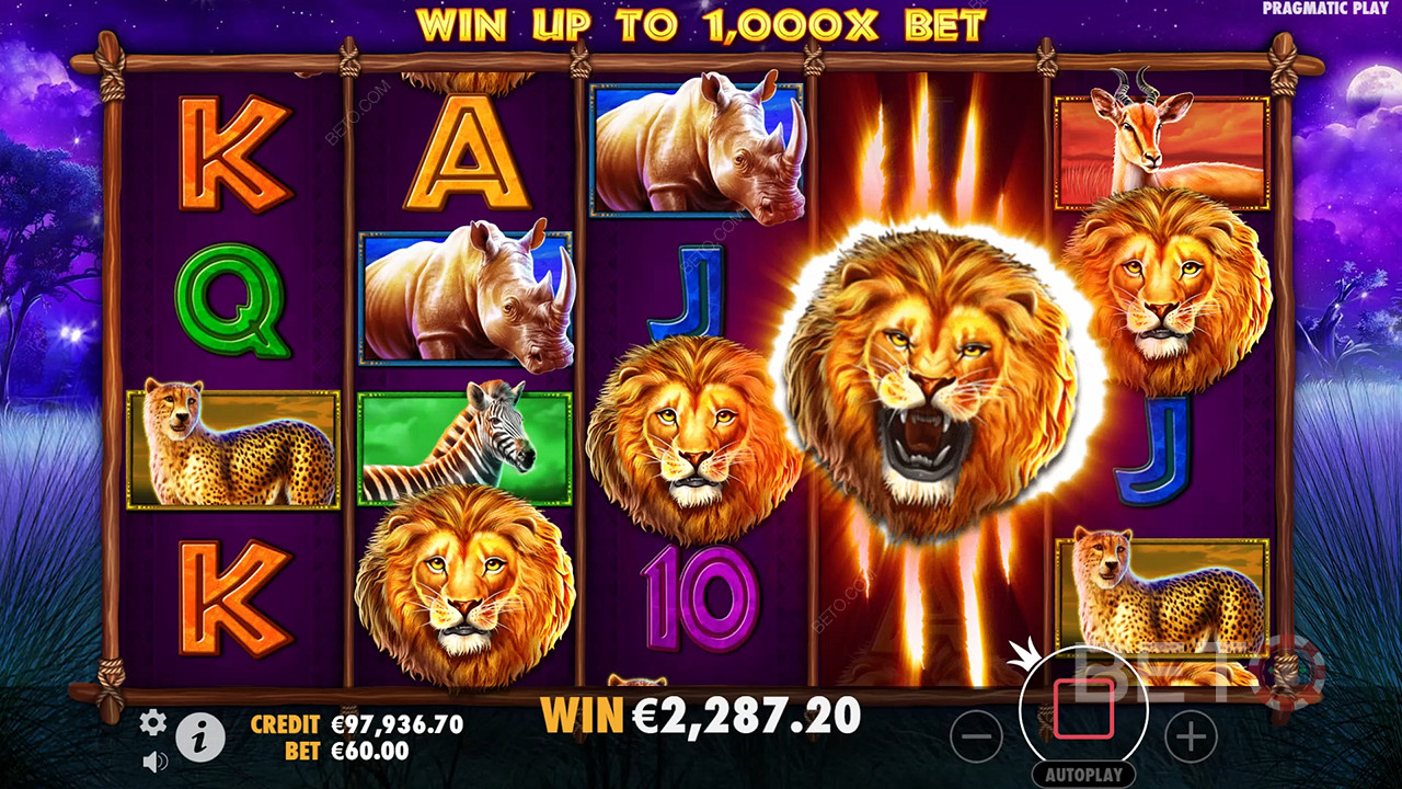 Safari King Recenzia od BETO Slots