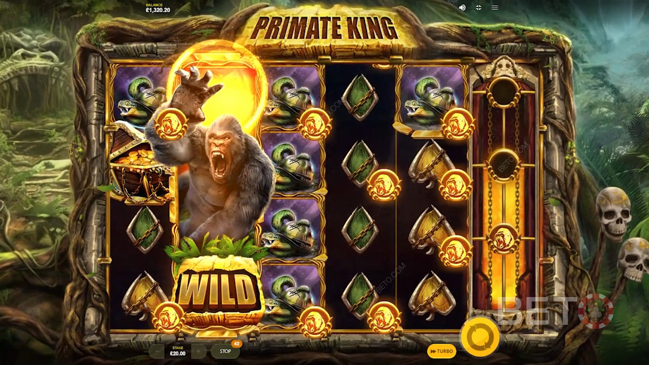 Primate King od Red Tiger Gaming je vybavený množstvom skvelých bonusových funkcií