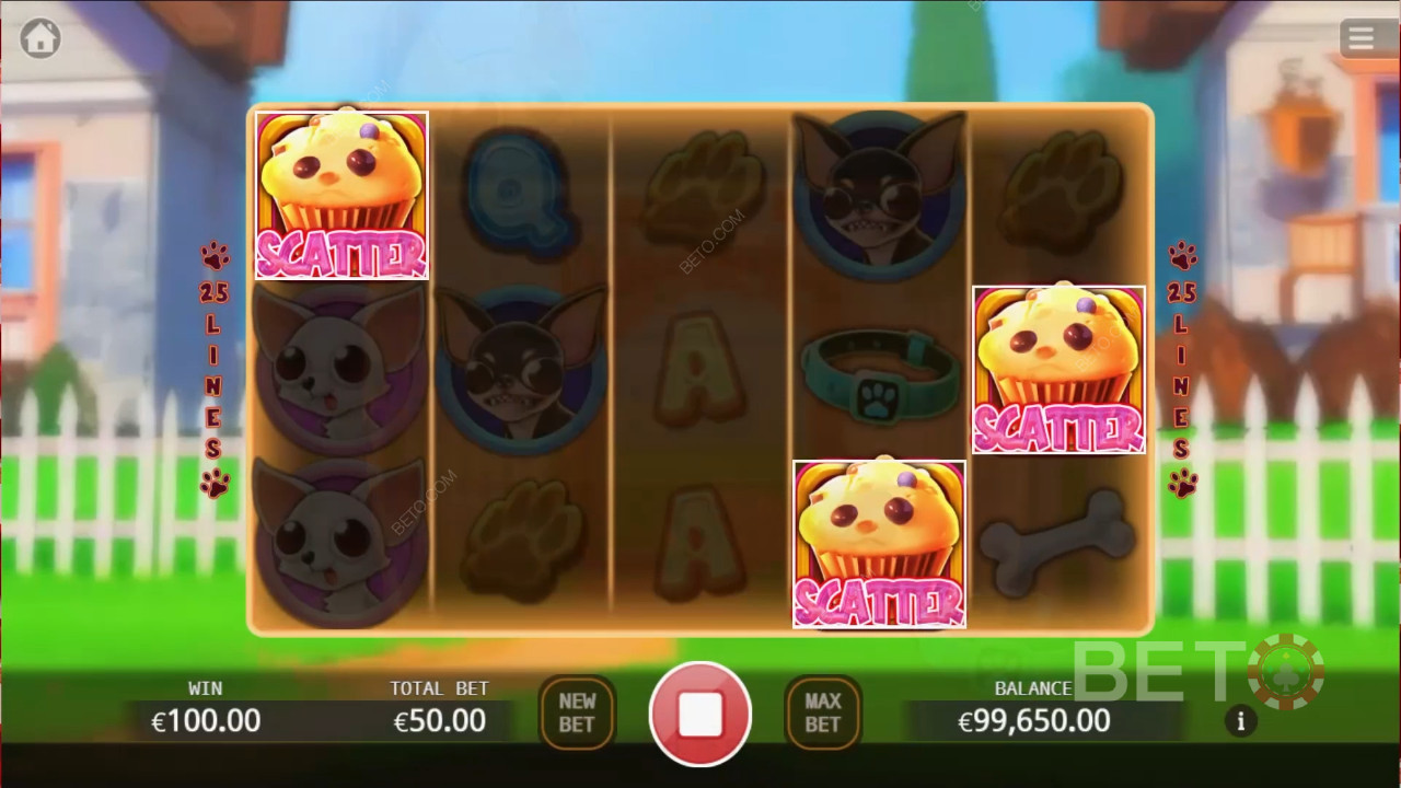 Chihuahua Party Review by BETO Slots