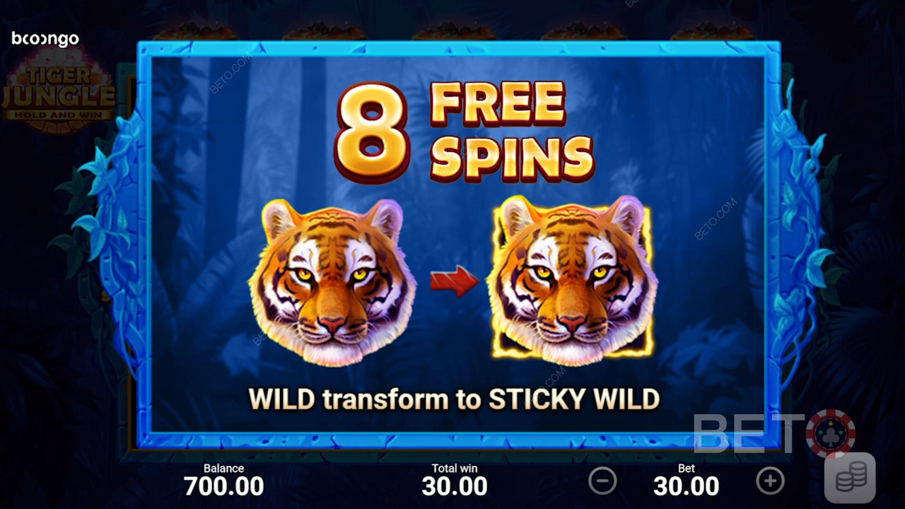 Dostanete 8 Free Spins a všetky symboly Wild sa počas kola Free Spins stanú symbolmi Sticky Wilds.