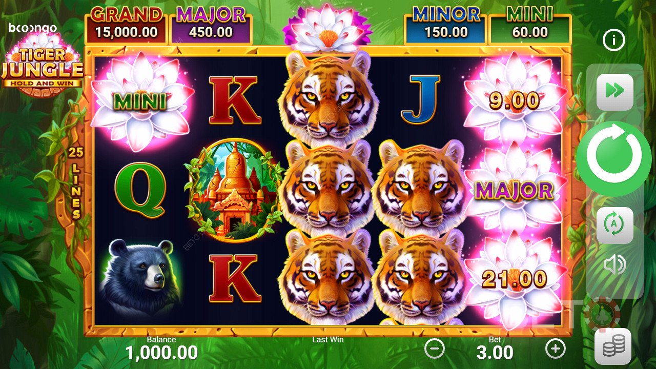 Počas kola bonusovej hry tohto slotu môžu hráči získať 4 rôzne jackpoty