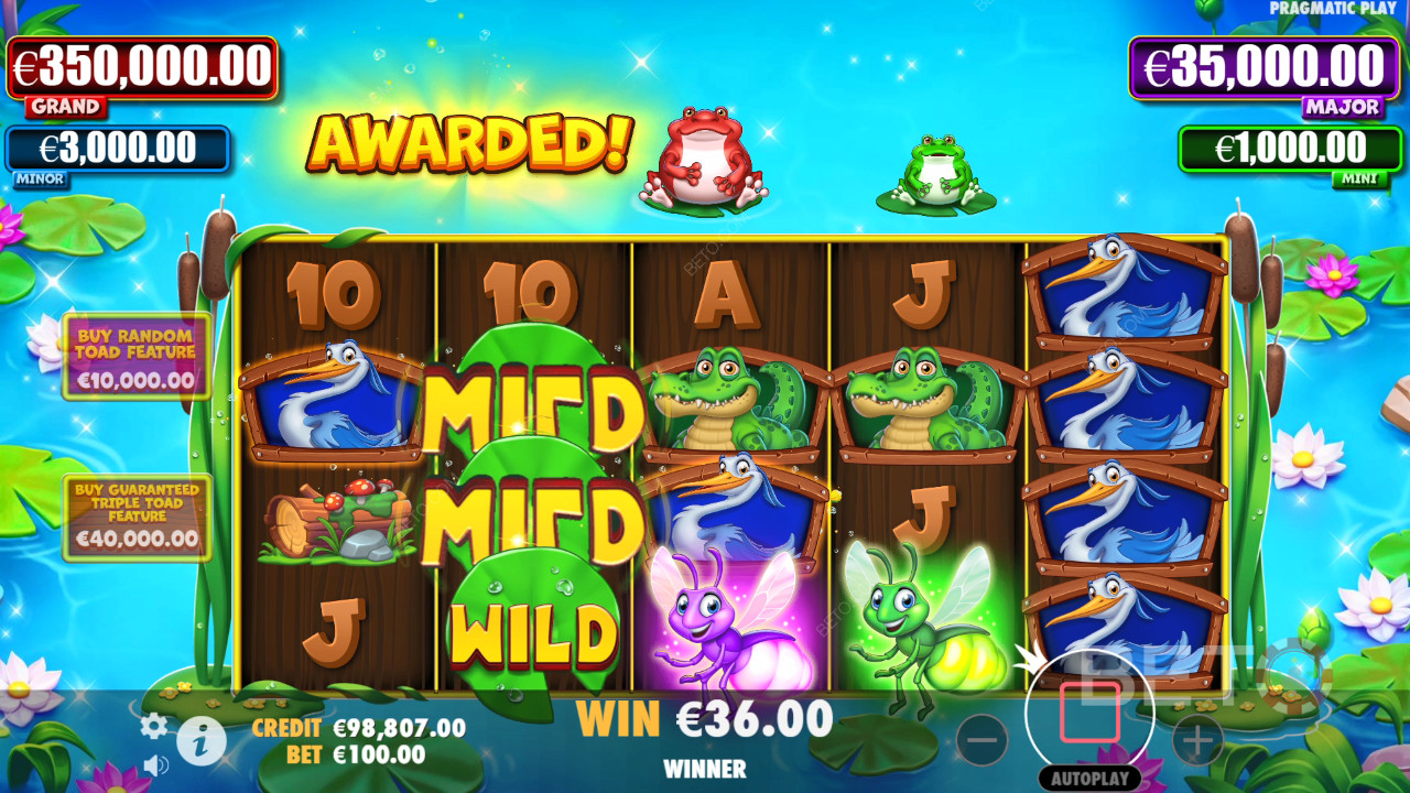Tiny Toads Recenzia od BETO Slots