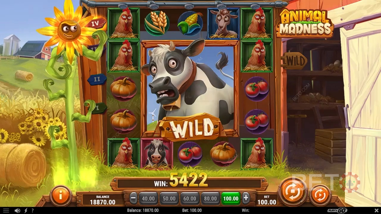 Animal Madness Recenzia od BETO Slots