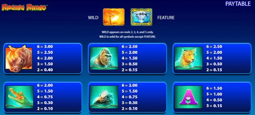 Rôzne výplaty za rôzne kombinácie symbolov v hre Raging Rhino