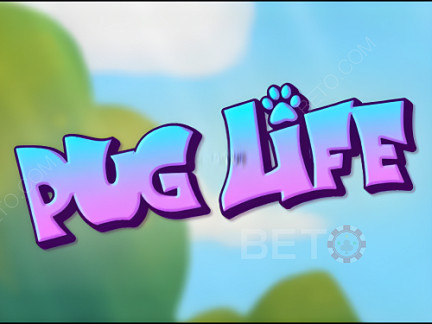 Pug Life Demo