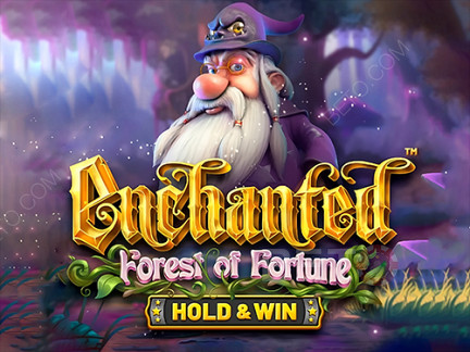 Enchanted: Forest of Fortune Demo